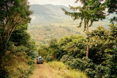 Farmers drive through the “coffee lands” of El Salvador, November 6, 2013