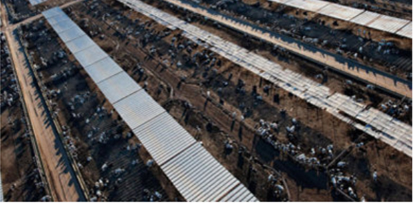 Aerial view of a CAFO in Arizona. Photo Credit: Peter McBride