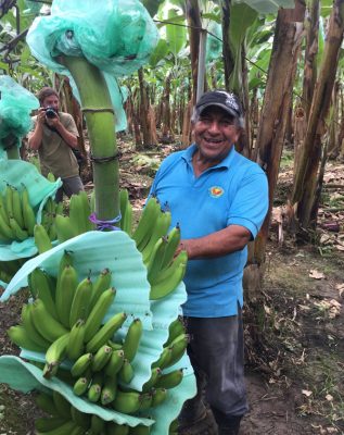 Banana Farmer Don Hugo shows off his fair trade banana harvest