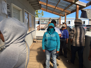 Workers line up to vote