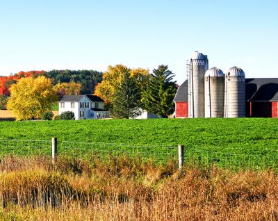 Randen Pederson, Autum Farm