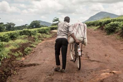 Farm Worker Pushes bike on dirt road - FLO suka - Martine Parry