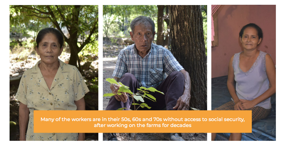 Fyffes Workers - Honduras 