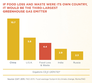 Food Wastage Footprint and Climate Change, Rome FAQ