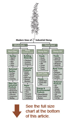 hemp_chart_thumb