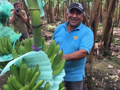 Banana Farmer Hugo Rocafuerte of AsoGuabo co-op in Ecuador stands by one of his banana plants