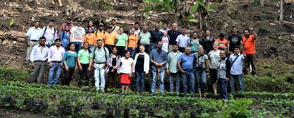 Norandino Cooperative in Peru